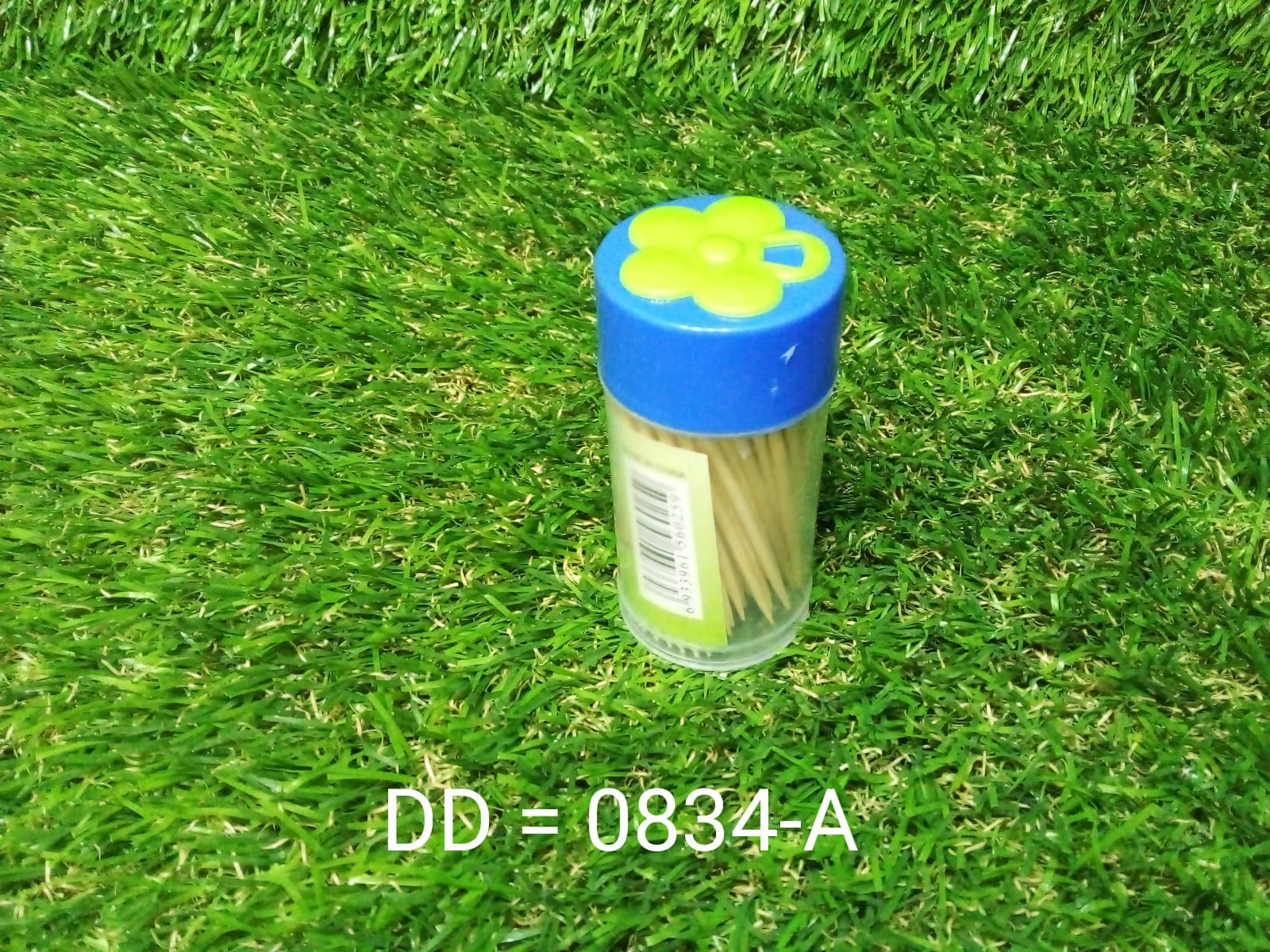 Toothpicks with box clear and handy storage